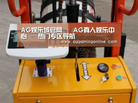 AG娱乐城案例展示三