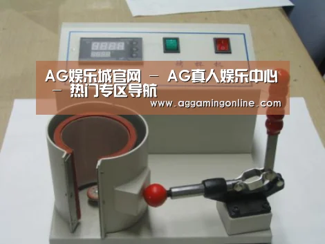 AG娱乐城案例展示六(图1)