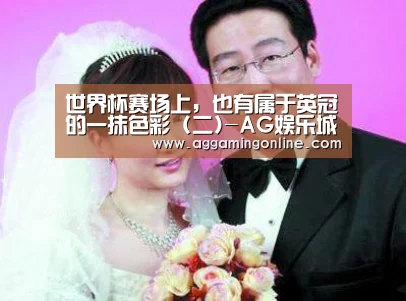 世界杯赛场上,也有属于英冠的一抹色彩 (二)-AG娱乐城(图1) AG专区