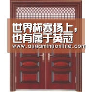 世界杯赛场上,也有属于英冠的一抹色彩 (二)-AG娱乐城(图3) AG导航